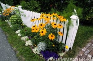 Правила создания сбалансированного ландшафтного дизайна