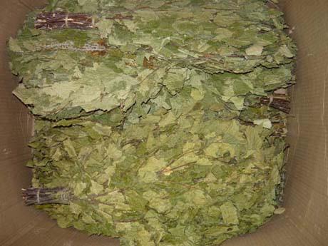 Как правильно сушить веники для бани