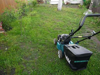  
Газон своими руками