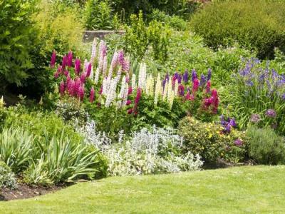  
Сад в природном стиле