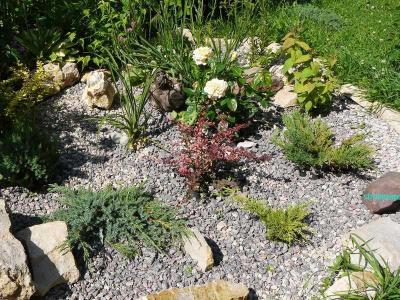  
Ландшафтный дизайн участка