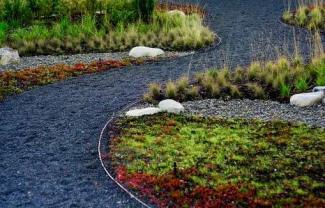  
Дорожки на даче