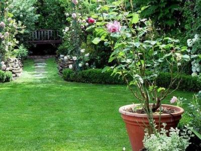  
Дизайн садового участка