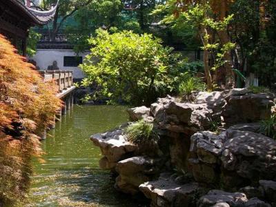  
Сад в природном стиле