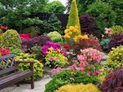  
Дизайн садового участка