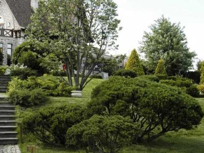  
Дизайн садового участка