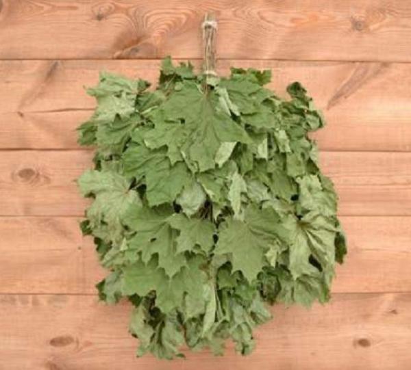 Какие бывают веники для бани