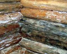 Пропитка для бани внутри — как выбрать и разновидности