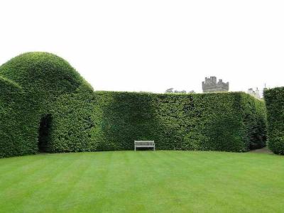  
Топиари – искусство фигурной стрижки растений