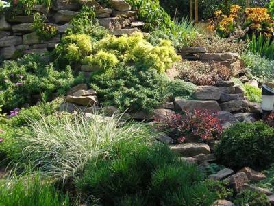  
Дизайн садового участка