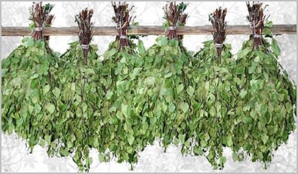 Как правильно париться в бане для здоровья