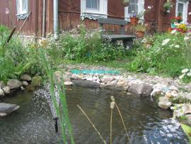  
Пруд на участке как важный элемент ландшафтного дизайна