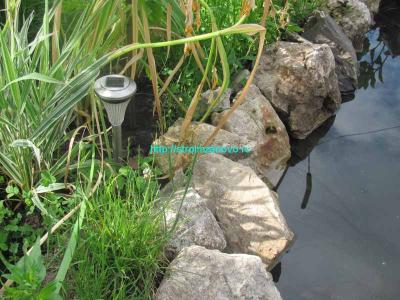  
Как сделать пруд на даче