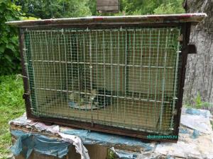 
Клетка для цыплят