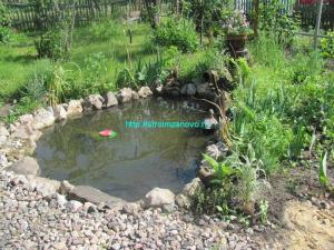  
Как сделать пруд на даче