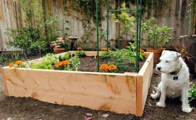 Высокие грядки на даче своими руками: фото и технология изготовления Высокие грядки на даче своими руками: фото и технология изготовления