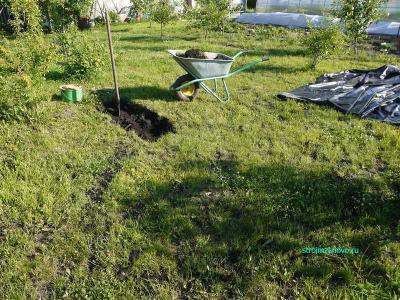  
Пруд на даче