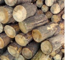 Как правильно топить баню