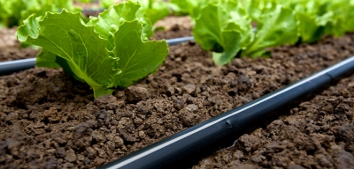 Капельный полив своими руками для дачи