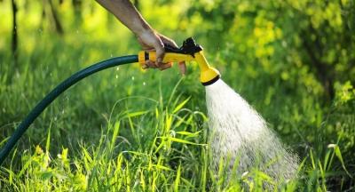 Шланги для полива: какие лучше?