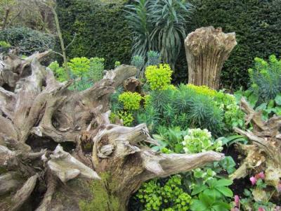  
Рутарий своими руками