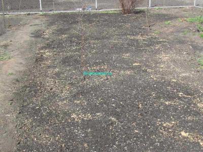  
Газон своими руками