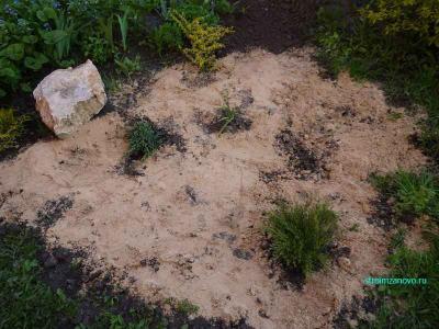  
Ландшафтный дизайн участка