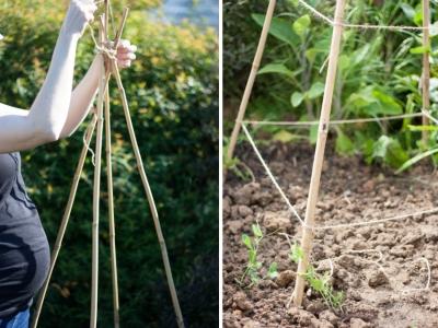Парник из подручных материалов своими руками