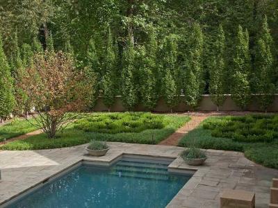  
Дизайн садового участка