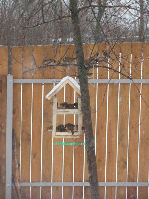 Кормушка для птиц своими руками
Кормушка для птиц своими руками