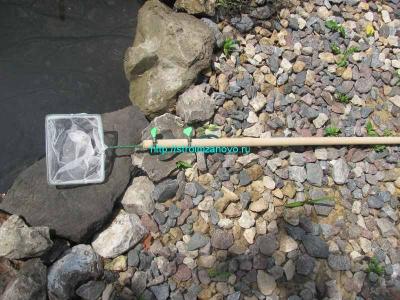  
Как сделать пруд на даче