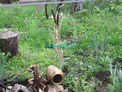  
Как сделать пруд на даче