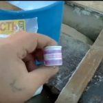 Выращивание грибов в домашних условиях: главные особенности и инструкция для новичков Выращивание грибов в домашних условиях: главные особенности и инструкция для новичков