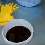 Выращивание грибов в домашних условиях: главные особенности и инструкция для новичков Выращивание грибов в домашних условиях: главные особенности и инструкция для новичков