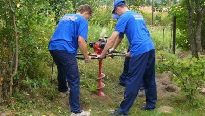 Живая изгородь на даче своими руками: какие растения лучше выбрать, пошаговый процесс монтажа Живая изгородь на даче своими руками: какие растения лучше выбрать, пошаговый процесс монтажа