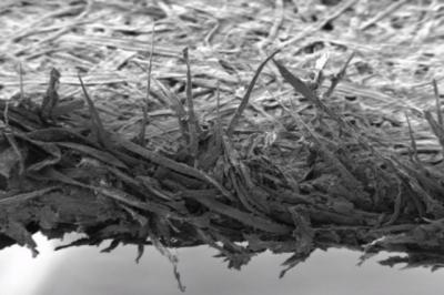 Какая должна быть влажность в квартире