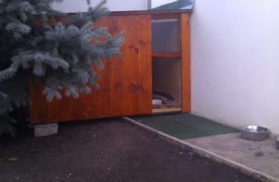 Будка для собаки своими руками: используем чертежи