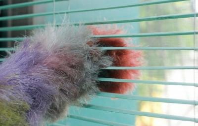 Как мыть жалюзи — эффективные домашние способы и средства, инструкции