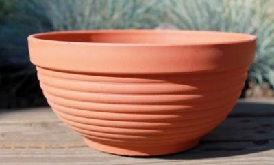 Пересадка комнатных растений — главные правила