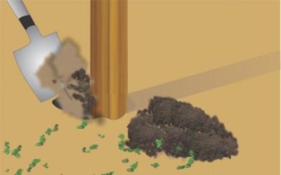 Живая изгородь на даче своими руками: какие растения лучше выбрать, пошаговый процесс монтажа Живая изгородь на даче своими руками: какие растения лучше выбрать, пошаговый процесс монтажа