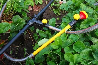 Как распланировать участок 6 соток: рекомендации, как правильно составить план участка