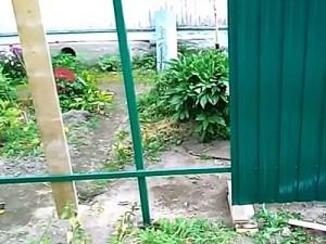 Как построить забор из профлиста своими руками: этапы подготовки и видео пример самостоятельного строительства забора из профлиста
