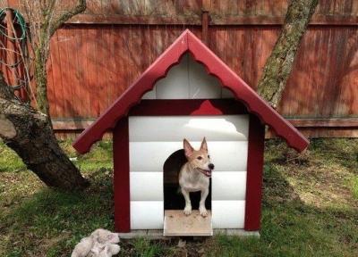 Будка для собаки своими руками: используем чертежи