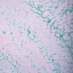 Декоративная штукатурка в интерьере: лучшие варианты + технология нанесения Декоративная штукатурка в интерьере: лучшие варианты + технология нанесения