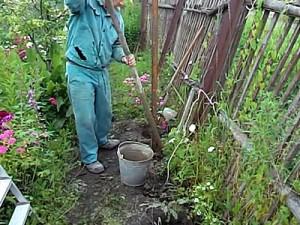 Как построить забор из профлиста своими руками: этапы подготовки и видео пример самостоятельного строительства забора из профлиста