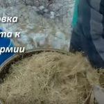 Выращивание грибов в домашних условиях: главные особенности и инструкция для новичков Выращивание грибов в домашних условиях: главные особенности и инструкция для новичков