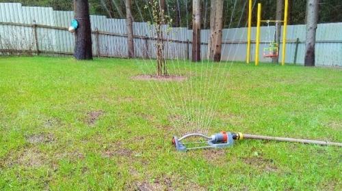 Выбираем дождеватель для полива