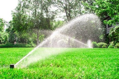 Выбираем дождеватель для полива