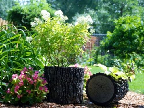 Оригинальное оформление клумб – вторая жизнь для брёвен и пней