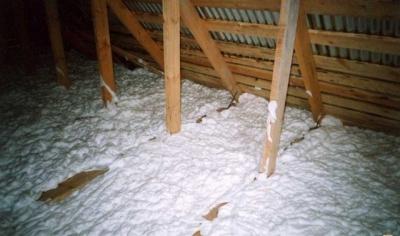 Какой утеплитель не грызут мыши: варианты утеплителей, которые не грызут мыши и крысы